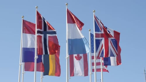 International Flags Waving in the Wind on a Sunny Day