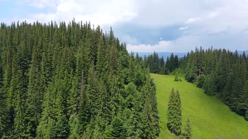 Above Mountain Forest, Aerial View