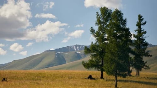 Des nuages blancs se déplacent au sommet des montagnes