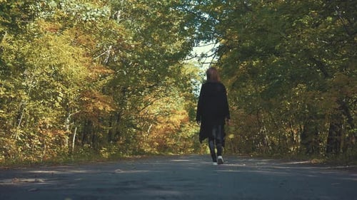 Beautiful Girl Walking in the Autumn Park