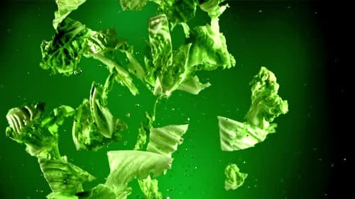Lettuce Leaves Soar Up and Fall Down