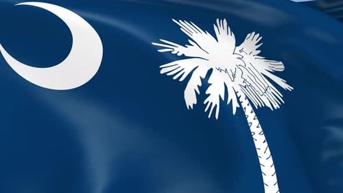 Realistic South Carolina Flag Waving Seamless Animation