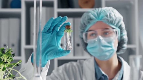 Scientist With Sprout Based Natural Medicine Research, Natural, Organic, Extracts In Glassware
