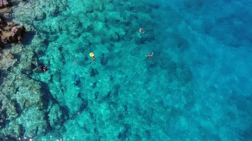 Aerial View of Divers Swimming Underwater Sea
