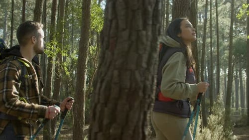 Active Caucasian Couple Enjoying Hiking Trip in Forest