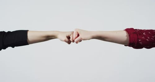 Two Pairs of Arms Fist Bump on White Background