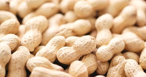 Shelled Peanuts Piled Up in Close Up