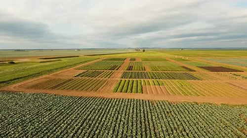 Aerial View of Farmland