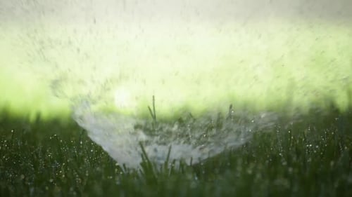 Water Sprinkler