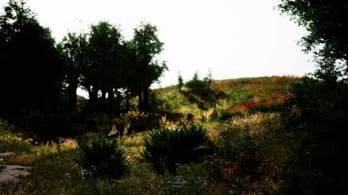 Beautiful View of Idyllic Alpine Mountain Scenery with Blooming Meadows