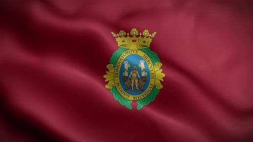 Waving Flag With Ornate Coat Of Arms Emblem