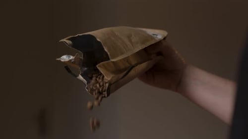 Coffee Beans Falling from Brown Bag Indoors