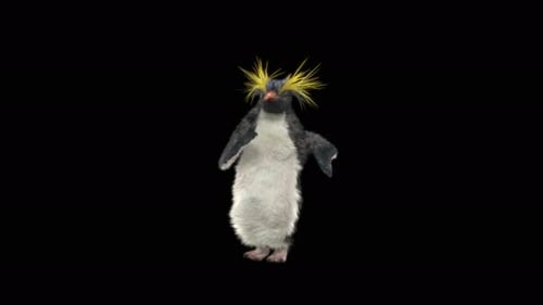 Penguin Dancing 4K