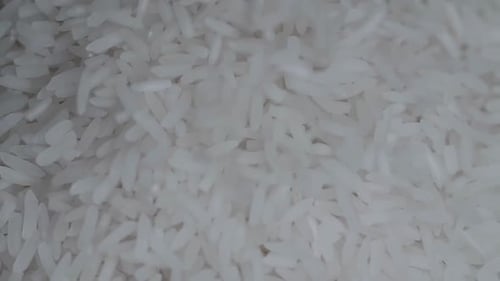 White Rice Falling Down