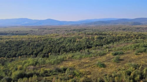 Mountain Natural Landscape Valley of Fresh Green Fields