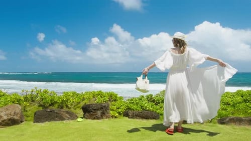 Cinematic Vibrant Slow Motion of Happy Woman Enjoying Beautiful Summer Landscape