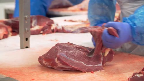 Meat Processing Professional Cuts Raw Beef