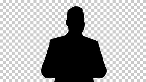 Empresário Silhouette trabalhando, Alpha Channel