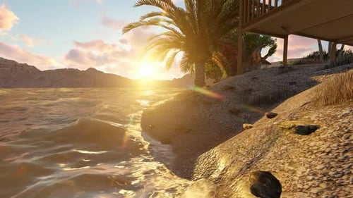 Palm tree on the beach