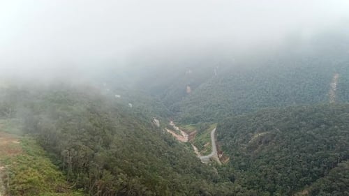 Winding Mountain Road near Misty Rainforest Trees, Drone View.