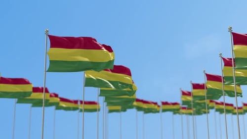 3D-Animation der Flaggenreihe Bolivien