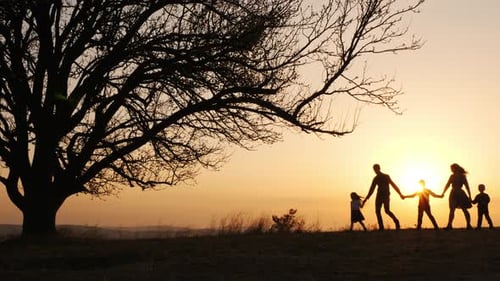 Silhouettes of Happy Family Walking Together in the Meadow During Sunset
