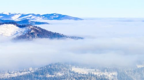 Winter Landscape