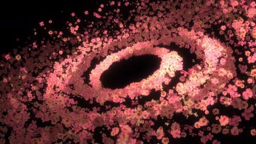 Elegant Swirling Pink Flower Petals Loop Background