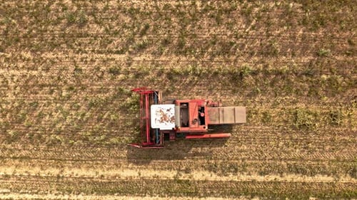 Aerial view of combine harvesting field in summer