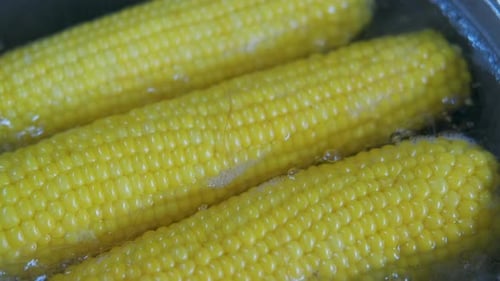 Yellow Corn Simmering in Boiling Water