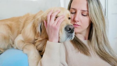 Woman stoking and kissing golden retriever, Milan, Italy