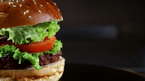 Close Up of Delicious Burger with Vegetables