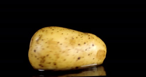 Close Up of Potato Rotating on Black Background