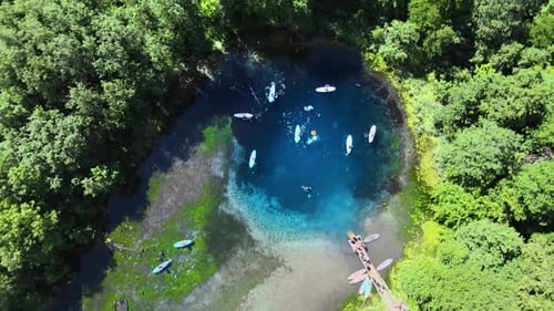 Sup surfing on lake in ecologically clean region. Swimming, diving and paddling