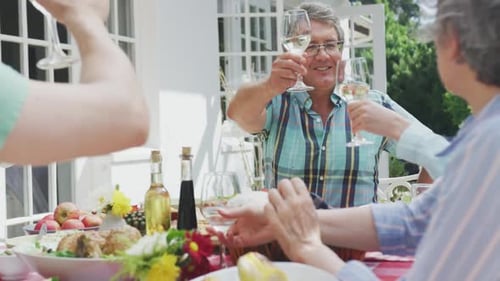 Family and Friends Making a Toast at Birthday Party