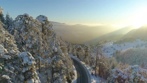 Flight Over the Road Through the Snowy Forest at Sunrise