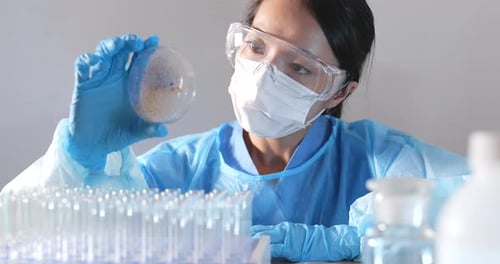 Scientist Holds Petri Dish Experimenting in Lab