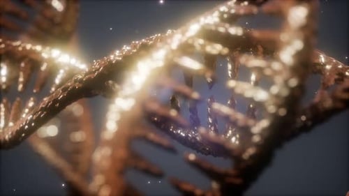 Double Helical Structure of Dna Strand Close-up Animation