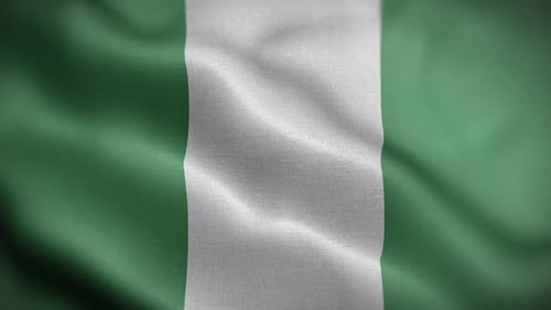 Realistic Waving Nigerian Flag Loop Video Animation