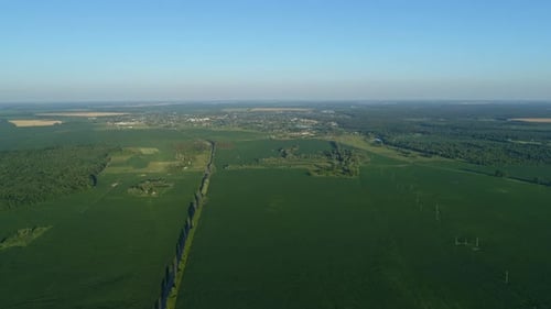 Aerial View Beautiful Landscape in Summer Drone Flying Corn Field in Sunny Day