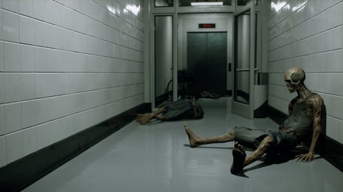 Skeletons Of People In An Abandoned Hospital