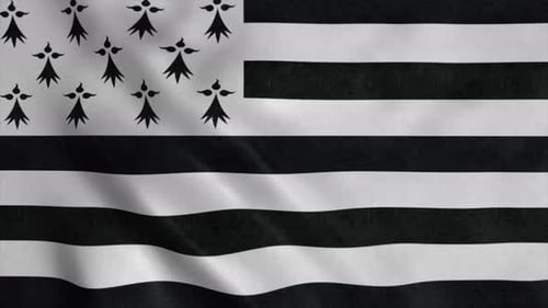 Black And White Brittany Flag Waving Animation