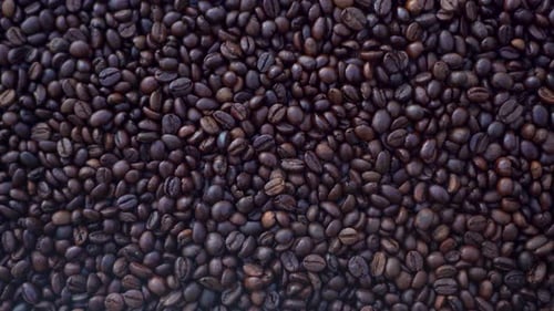 Faire un fond de café