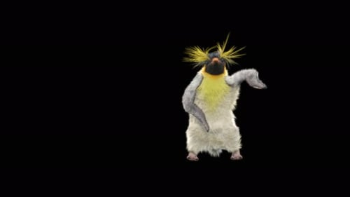 Pinguin tanzen 4K