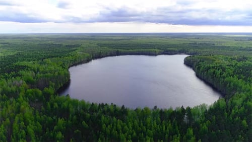 Flying above lake against the forests of spruce and pine trees, Drone collection