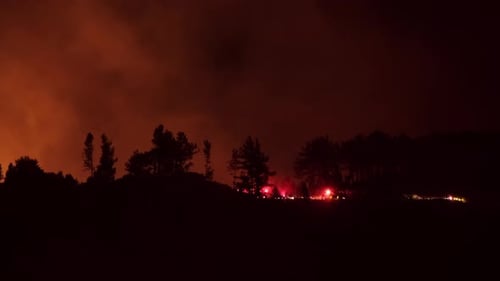 Firefighter, Forest Fire At Night
