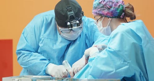 Male Veterinarian in Glasses White Gloves Cap and in Surgical Outfit While He Uses a Surgical Tool