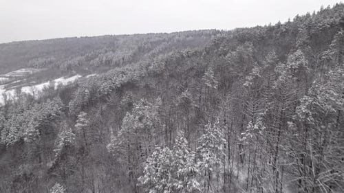 Aerial Drone View Above Mountain Winter Forest