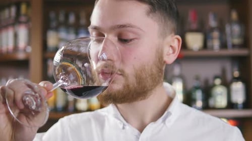 Man Tasting Red Wine in Bar Close Up
