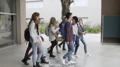 College students walking together in campus